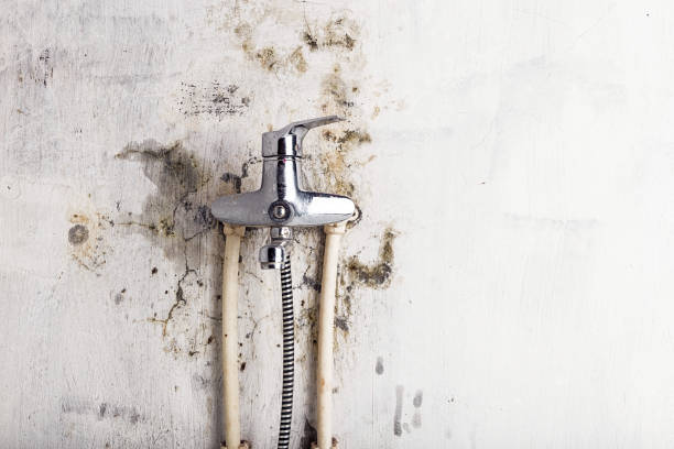 Trusted Keokuk, IA Mold Remediation Experts